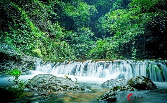 逃离森林湖畔
